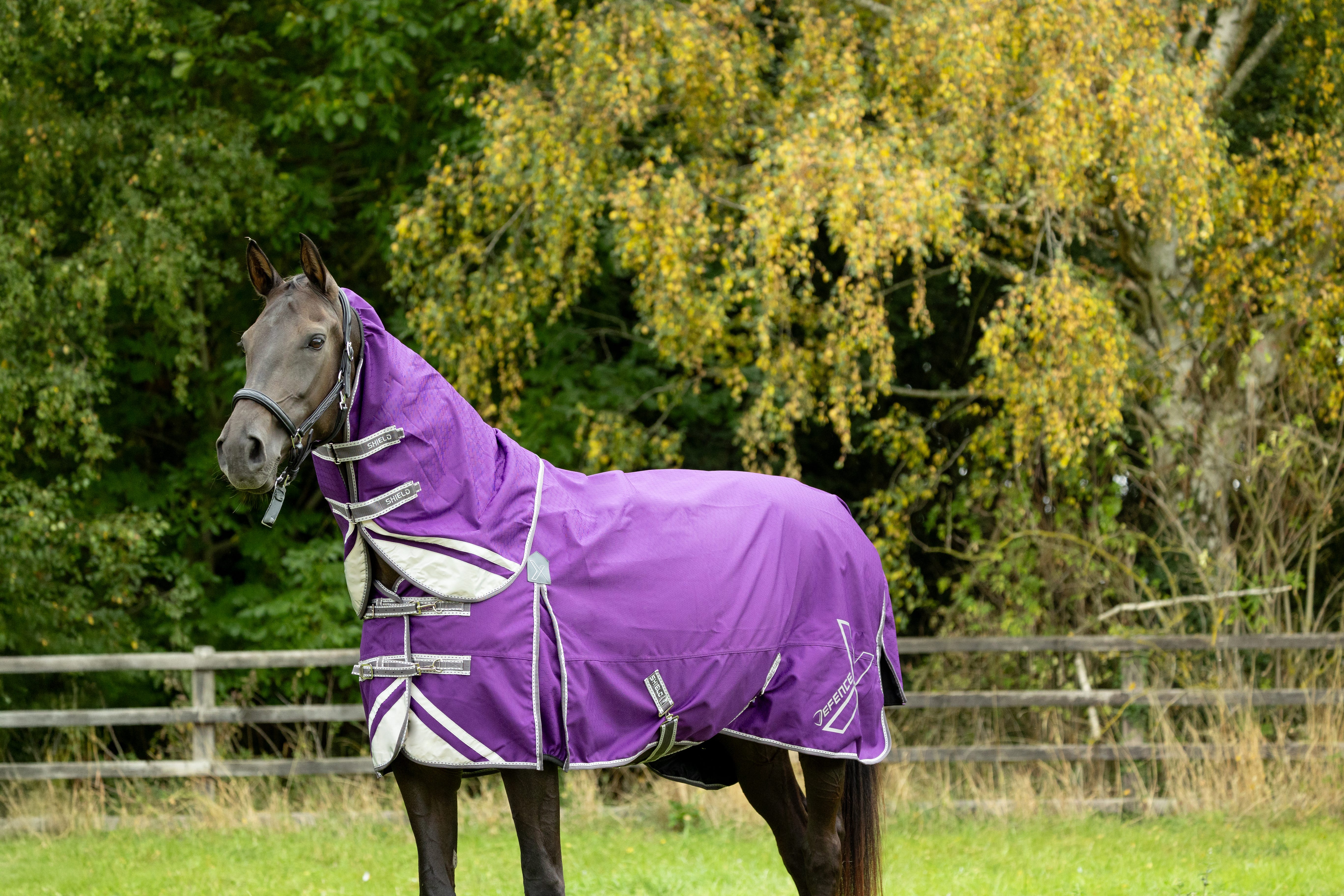 DefenceX Shield 100g Turnout Rug with Detachable Neck image 2